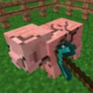 Meet your Posher, Luke